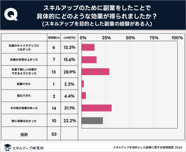 副業アンケート資料